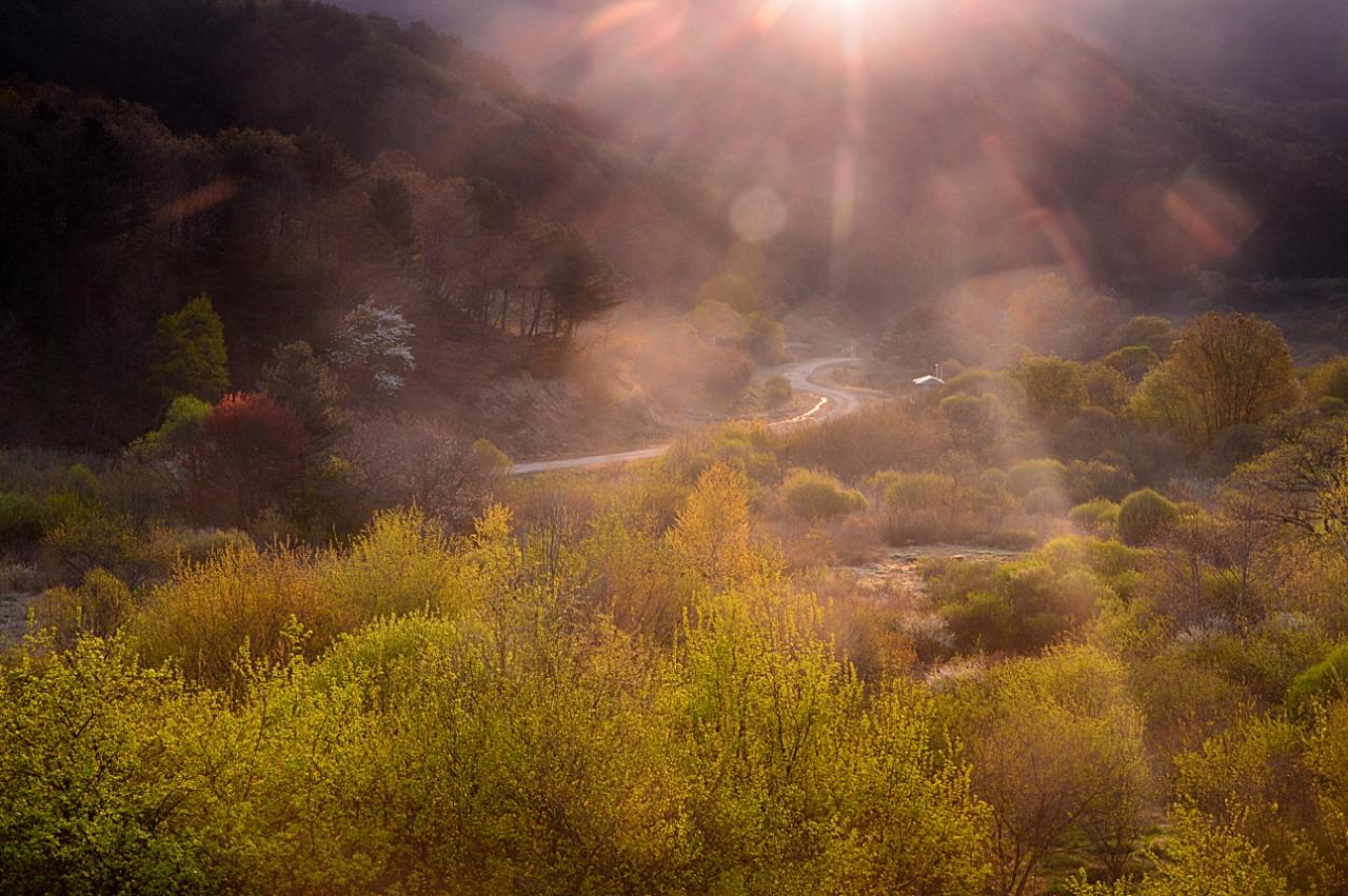 BandPhoto_8815053549.jpg : 시크릿가든