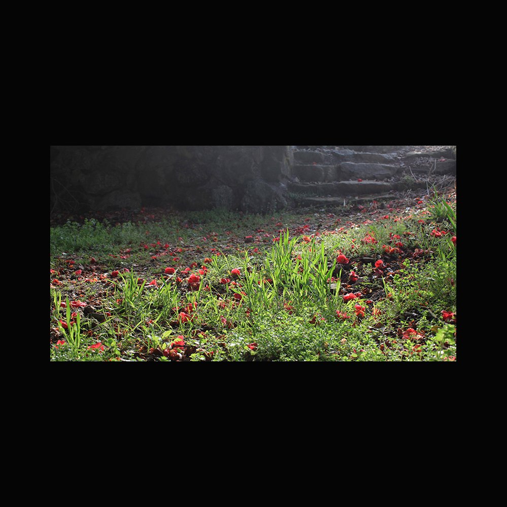 +1-1.jpg : 천국의 눈물...