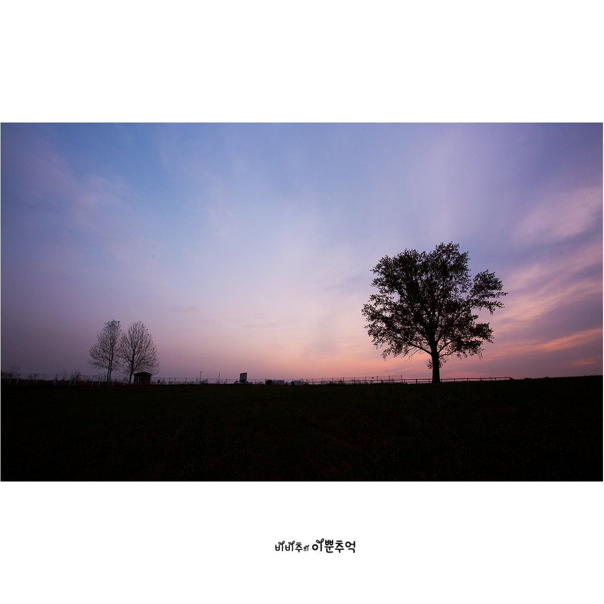 003.jpg : 꿈꾸는 나무 003.jpg : 꿈꾸는 나무