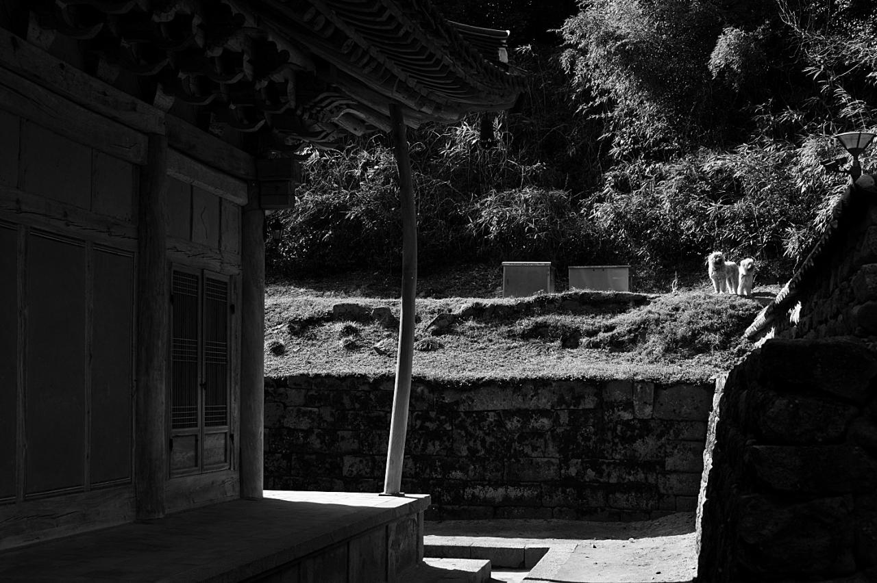 BandPhoto_5555148509.jpg : 산사의 뜌엣