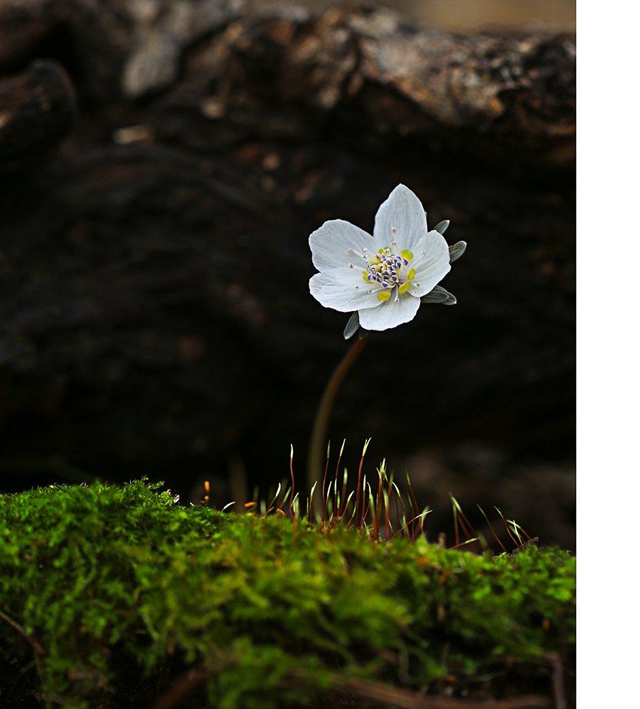 2M3A9677.jpg : 변산아씨^^