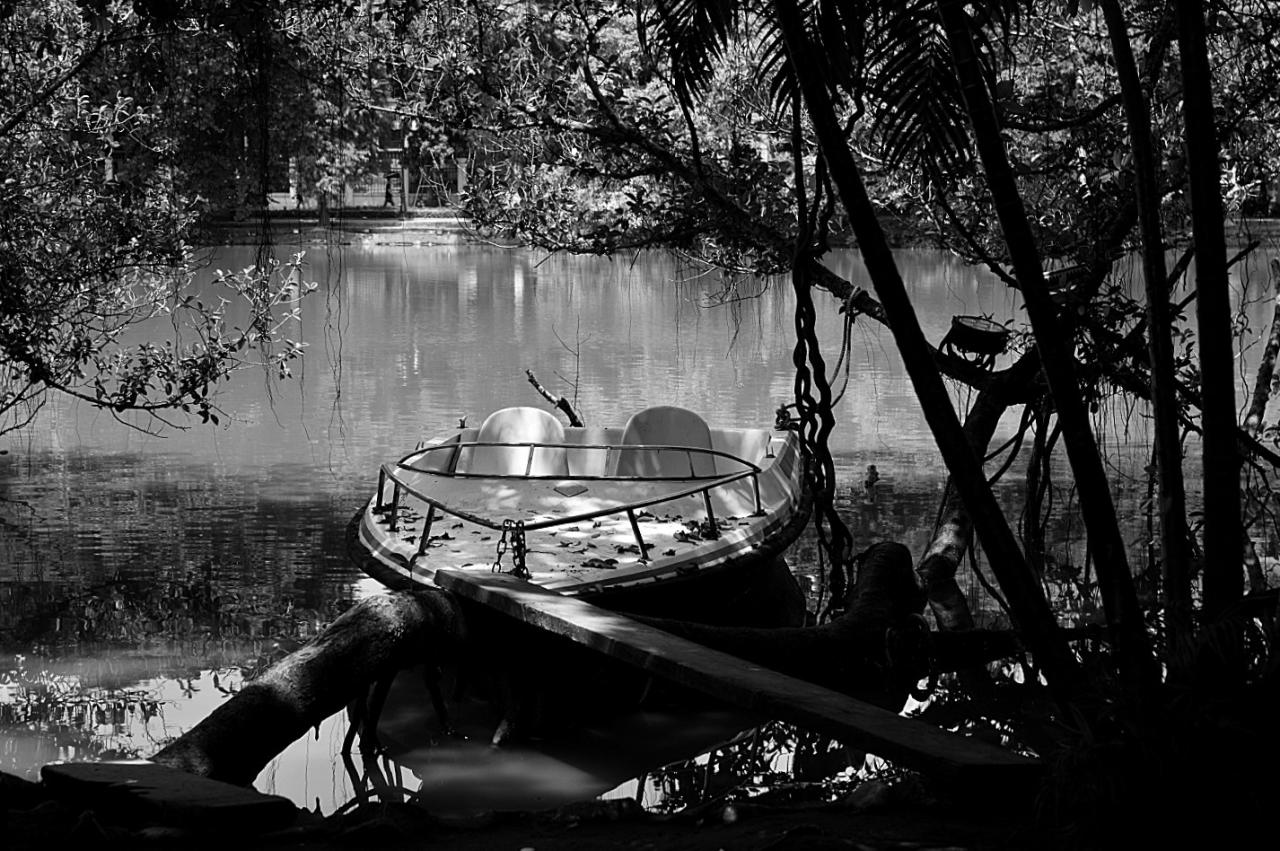 BandPhoto_6294546882.jpg : 하노이 시내거리