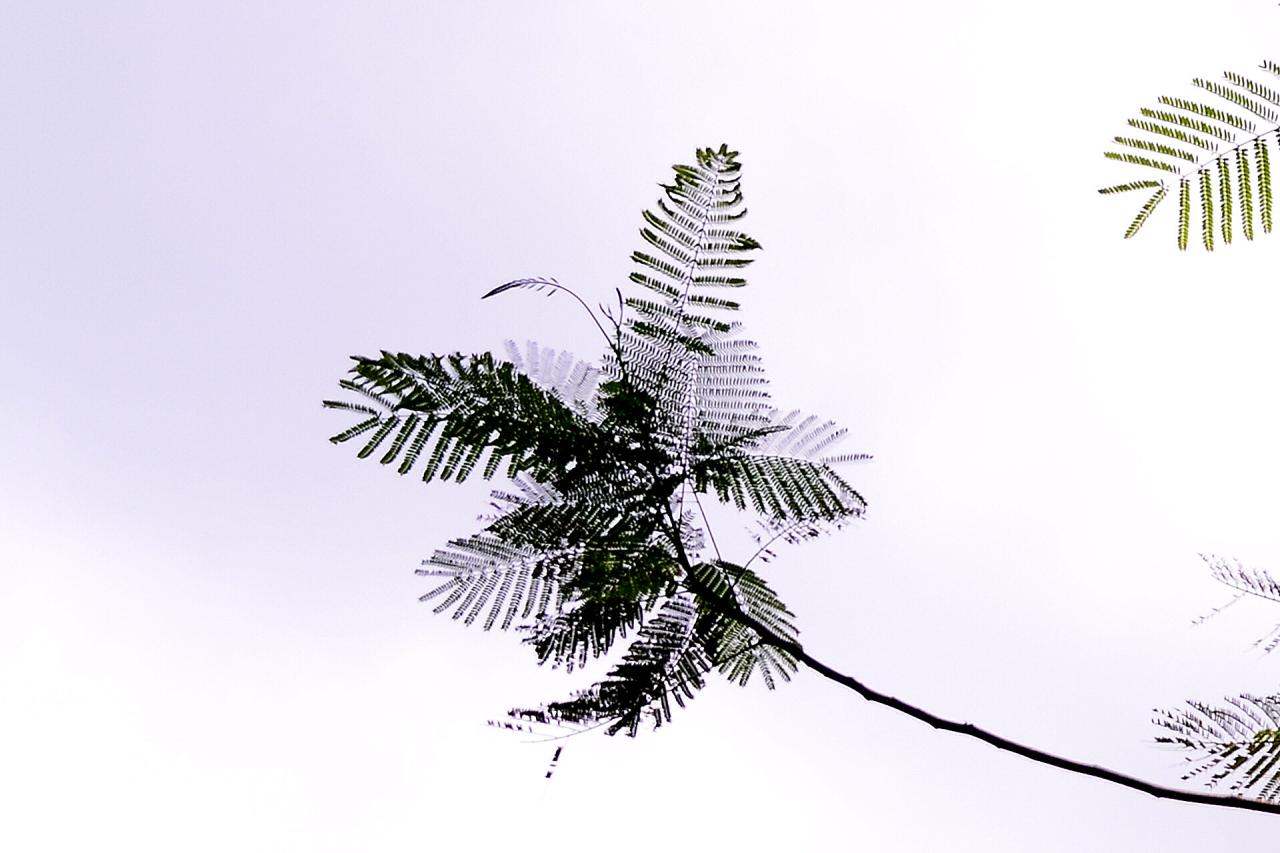 BandPhoto_6294546937.jpg : 하노이 시내거리