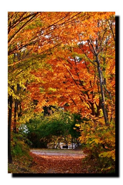 IMG_20181026_094428.jpg : 가을 타나봐~~