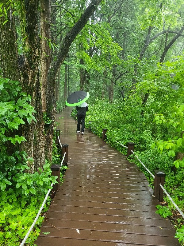 20240608_103247.jpg : 수목원