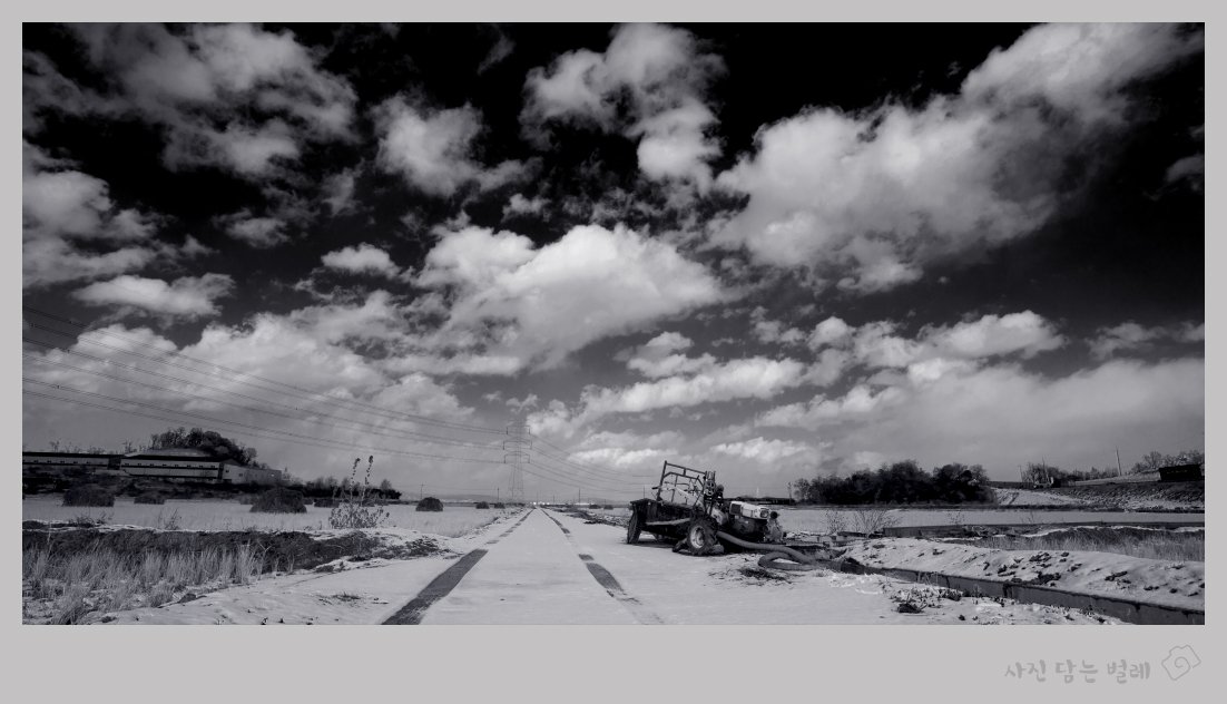 CE3A5480-2 resize.jpg : 눈오는날