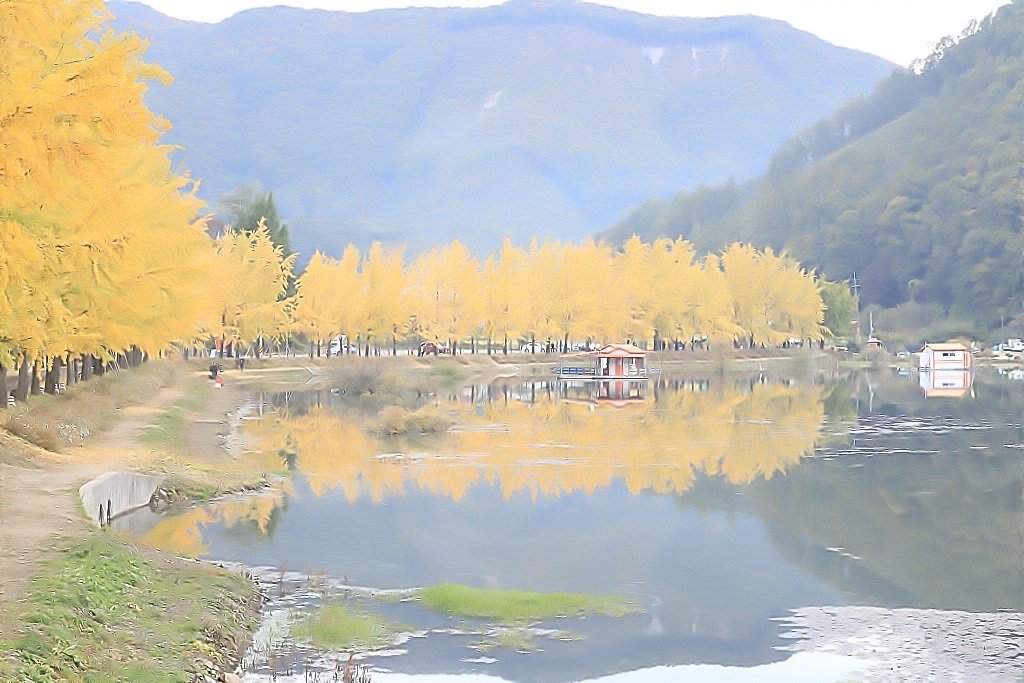 049A0106-20201021 - 복사본.jpg : 가을 연가