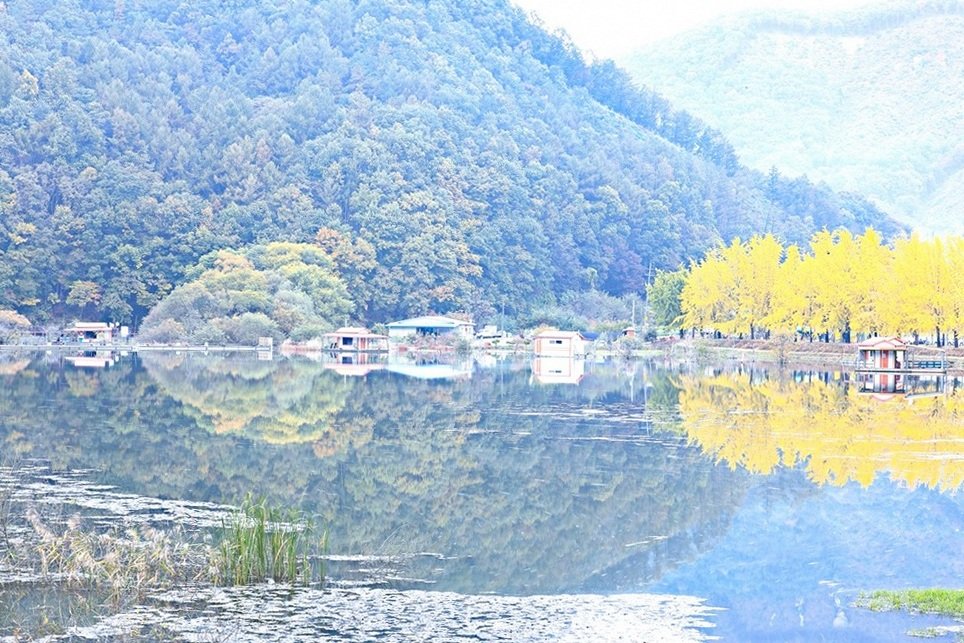 049A0107-20201021 - 복사본.jpg : 가을 연가