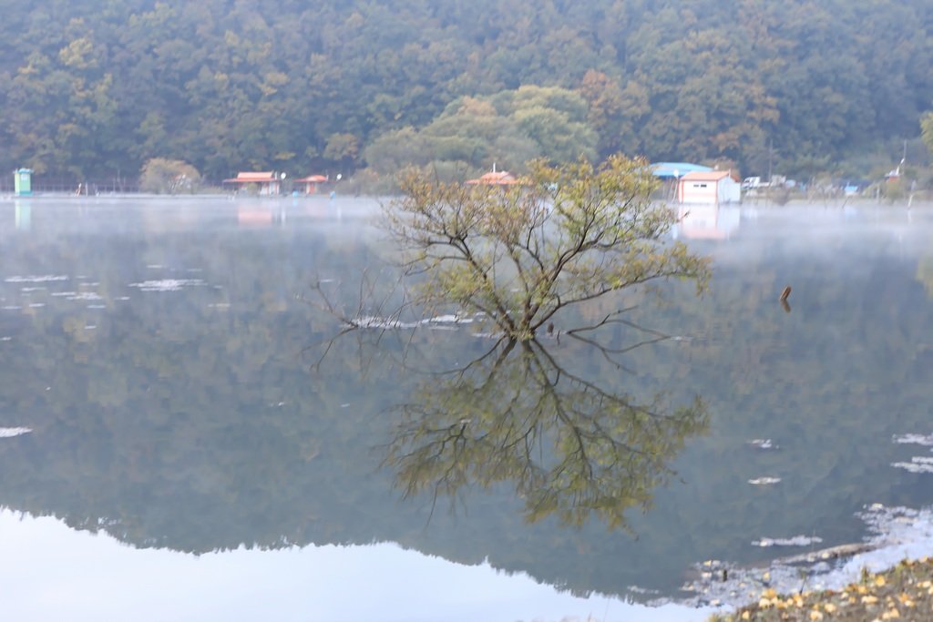 049A0004-20201021 - 복사본.jpg : 가을 연가