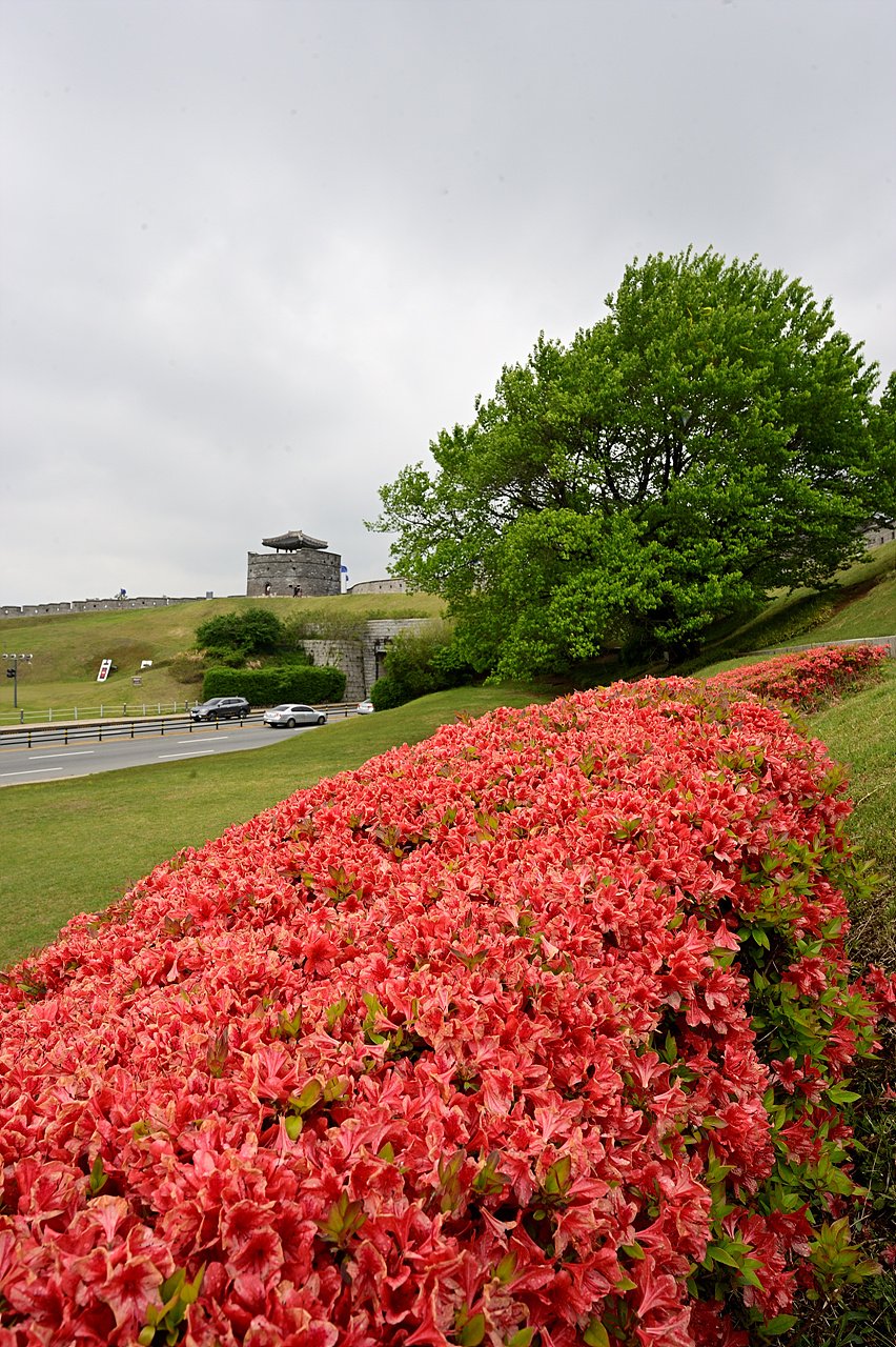 _DSC9592_1.jpg : 수원화성