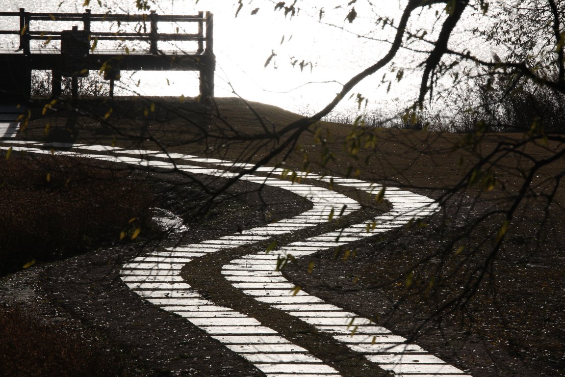 길-e.JPG : 정원 길