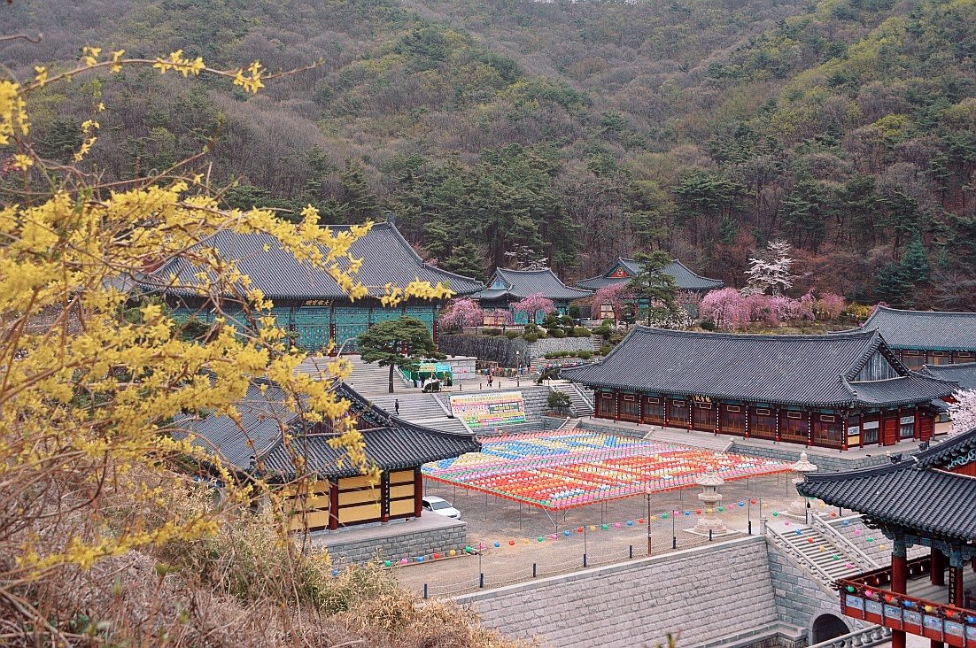 BeautyPlus_20210403153010710_save.jpg : 벚꽃