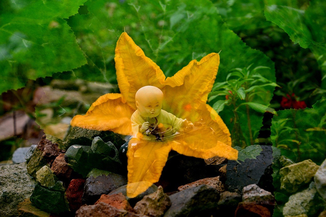 BandPhoto_9831394052.jpg : 영동군 반야사