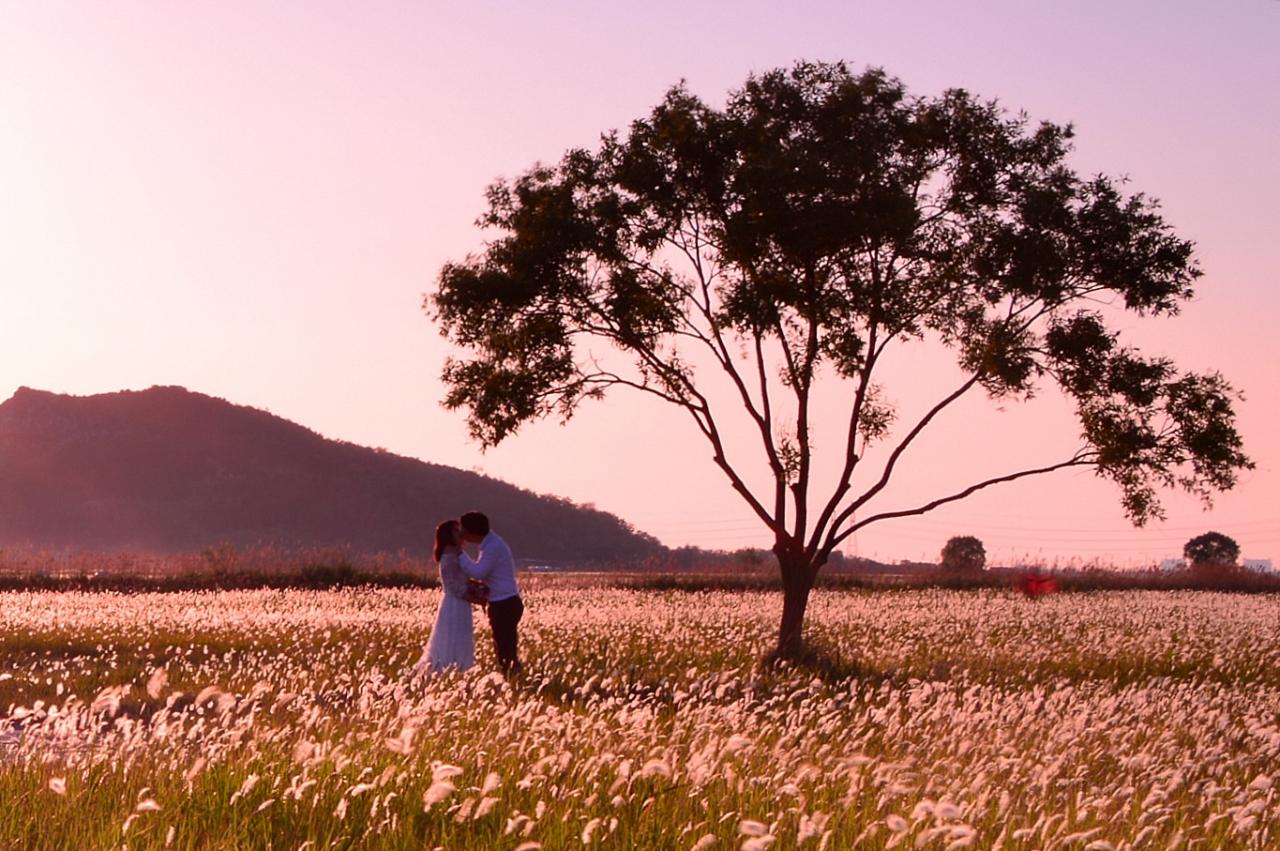 BandPhoto_6080066479.jpg : 수섬 벙개