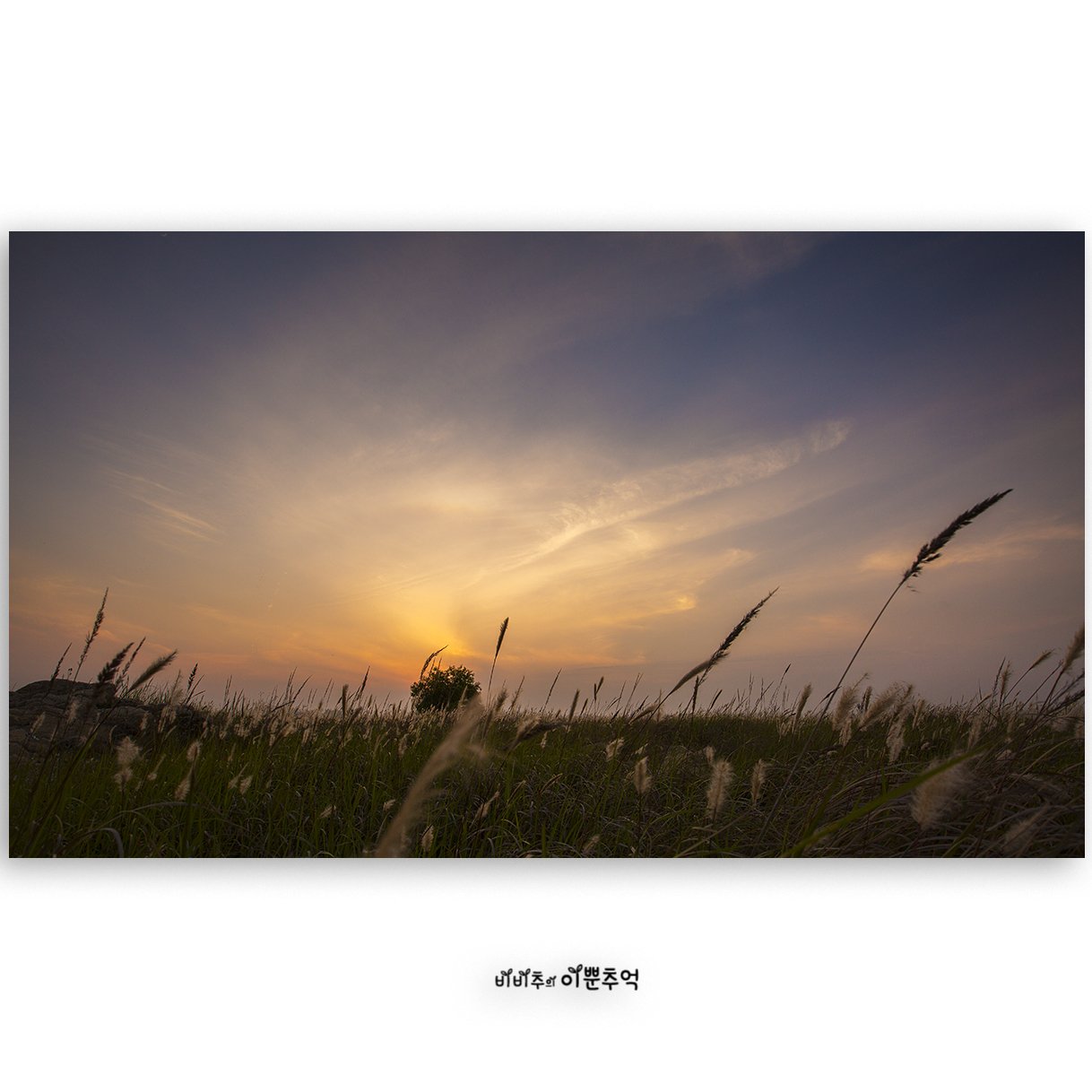 038.jpg : 우음도에서..