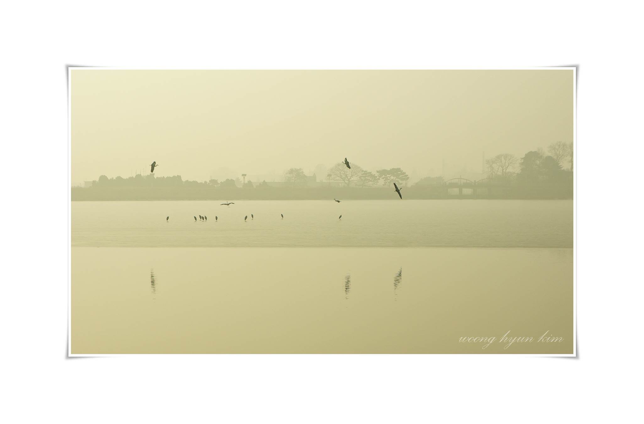 SG103097.JPG : 미세먼지