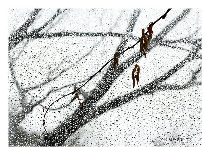 CE3A4114-2farme sigresize.jpg : Rainy Day