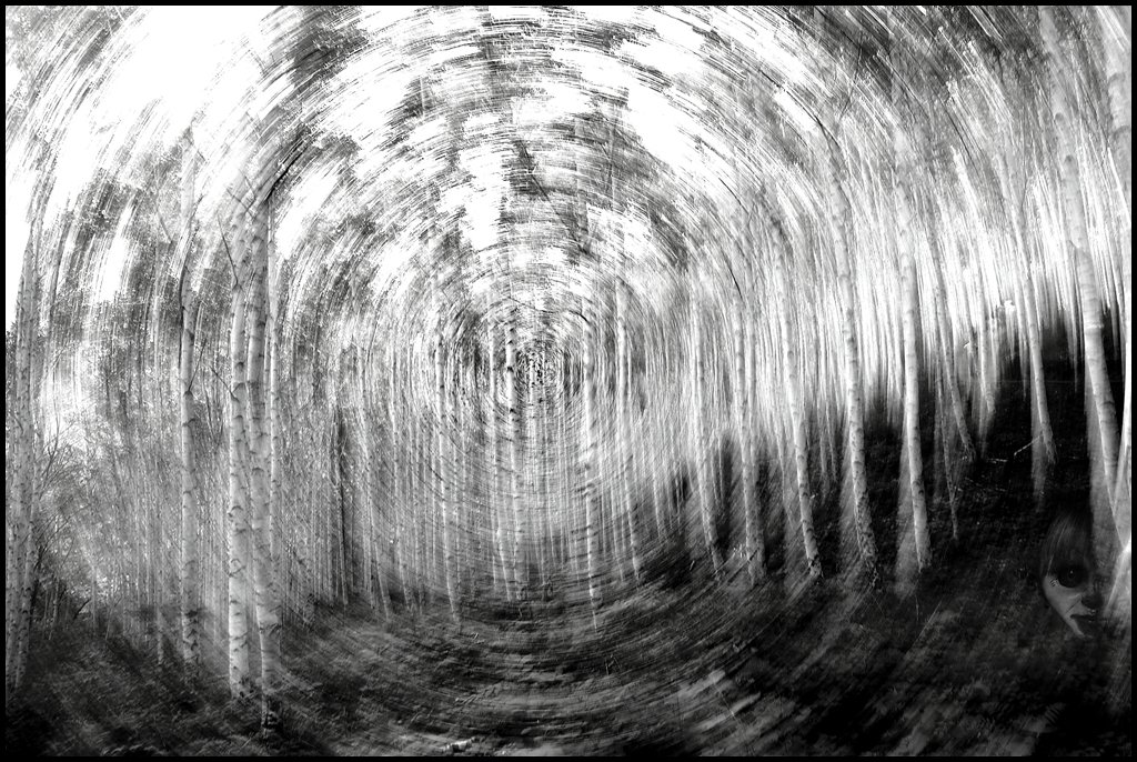 8U8A1877.jpg : 원대리