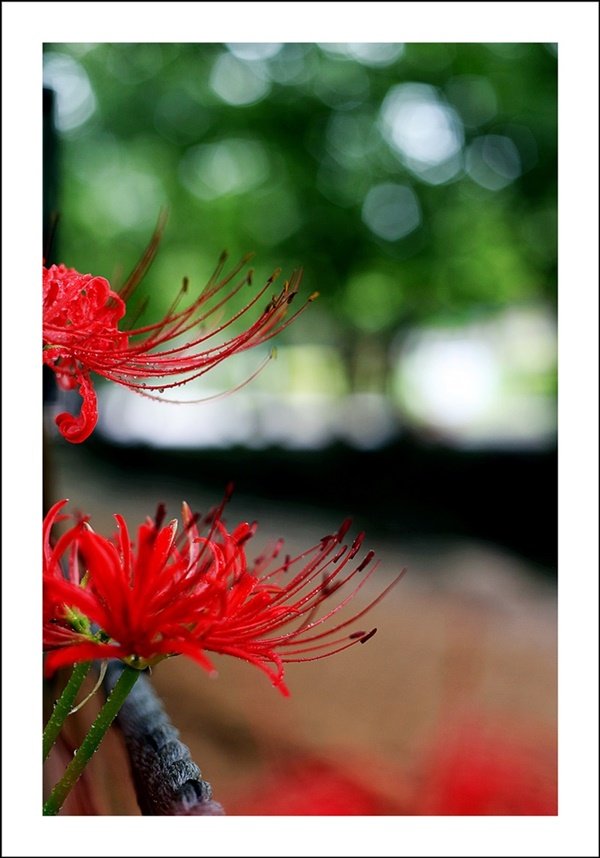 IMG_7889-2.JPG : 궁금해