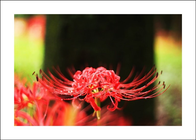 IMG_7956-1.JPG : 궁금해