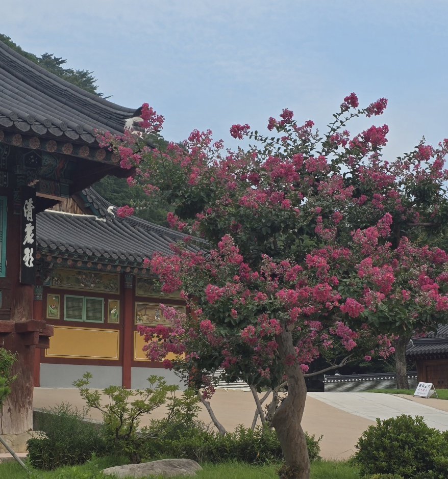 20250730_075920.jpg : 신흥사