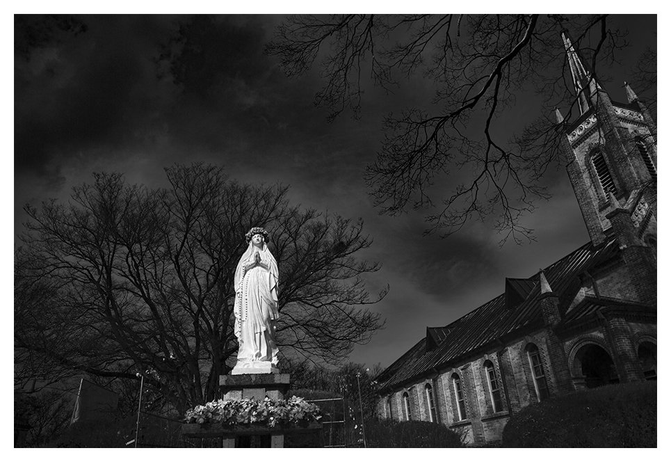 CE3A2880-2resize.jpg : 불안한 세상....