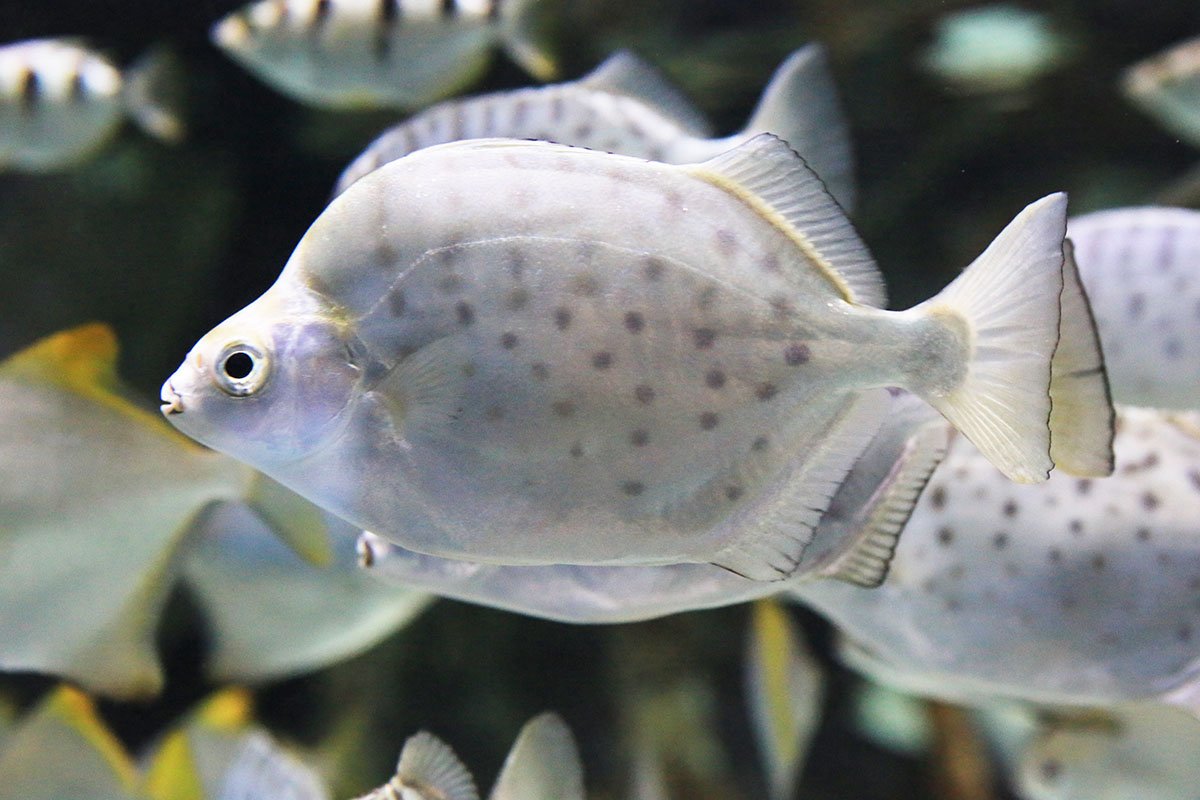 KJW_0290.jpg : Aquarium에서 KJW_0290.jpg : Aquarium에서