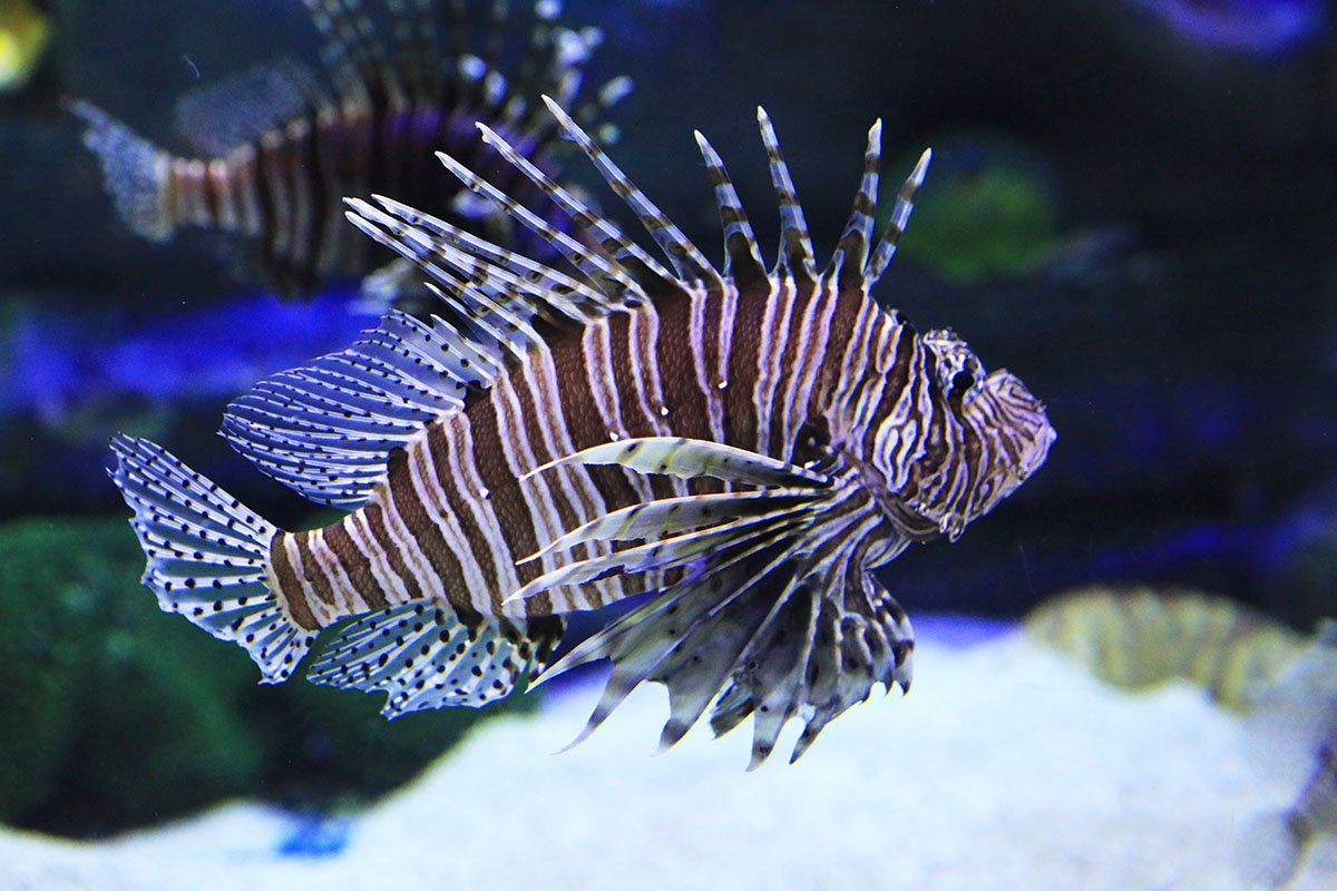 KJW_0319.jpg : Aquarium에서 KJW_0319.jpg : Aquarium에서