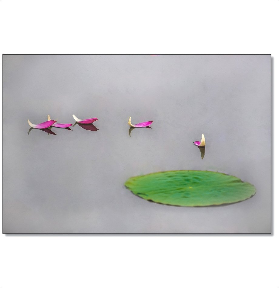 [R]DSC_5885.jpg : 7월 정모숙제