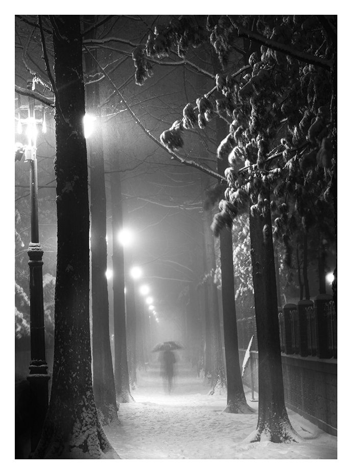 CE3A9969-1jpg resize.jpg : 눈내리던 밤....