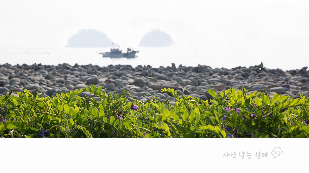 CE3A3670-2resize9.jpg : 무슬포 굴전