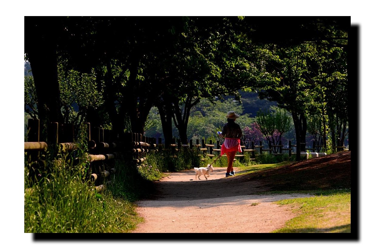 IMG_20170518_201727.jpg : 서호