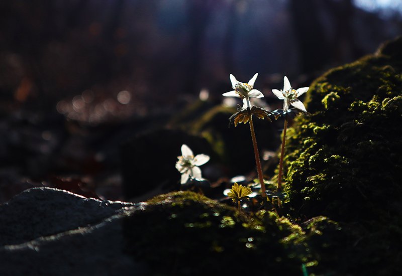 IMG_0072소.jpg : 무갑사에서