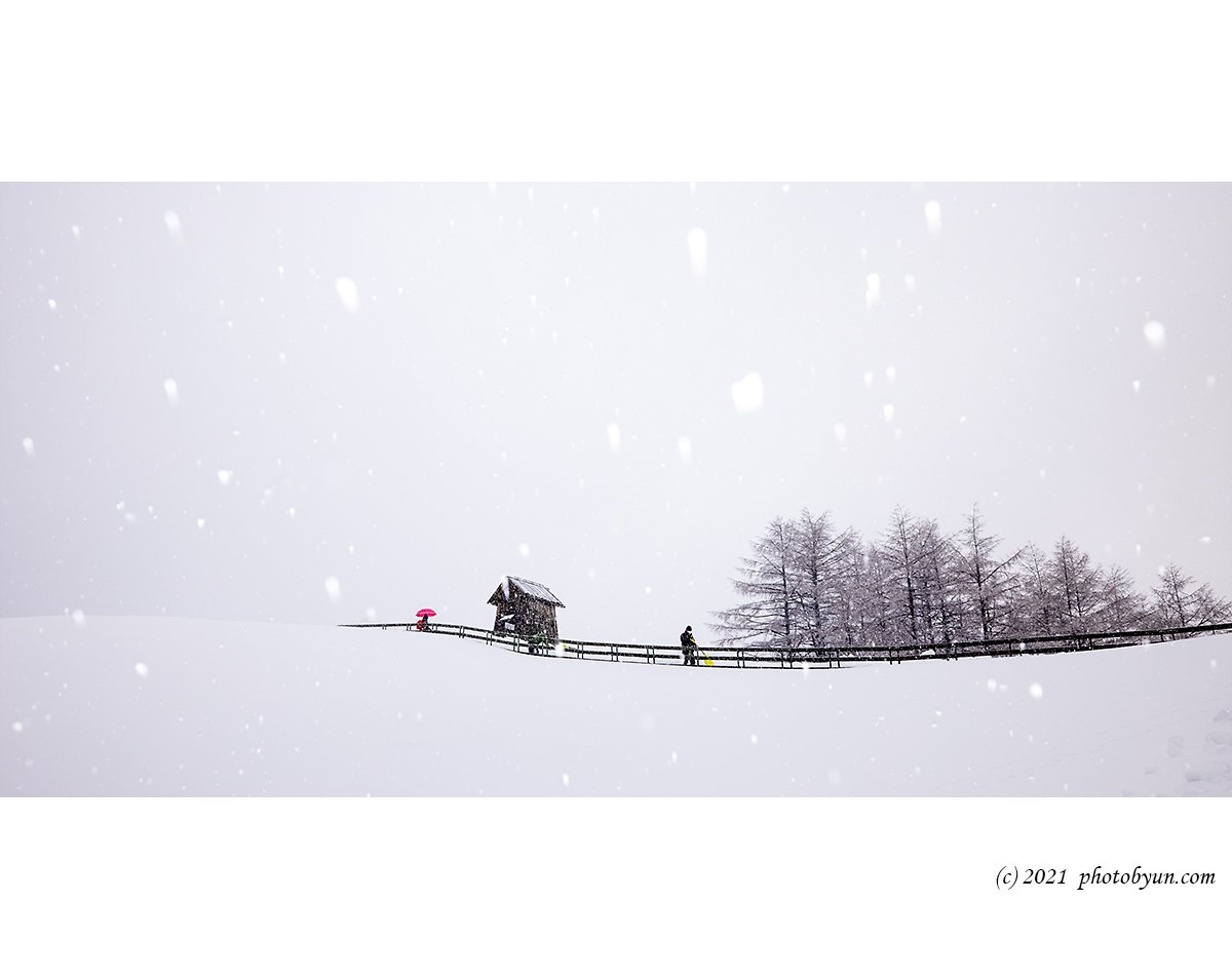 0P3A0109.jpg : 양때목장