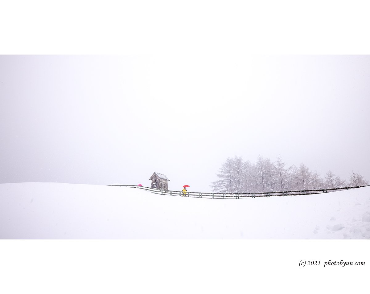 0P3A0147.jpg : 양때목장