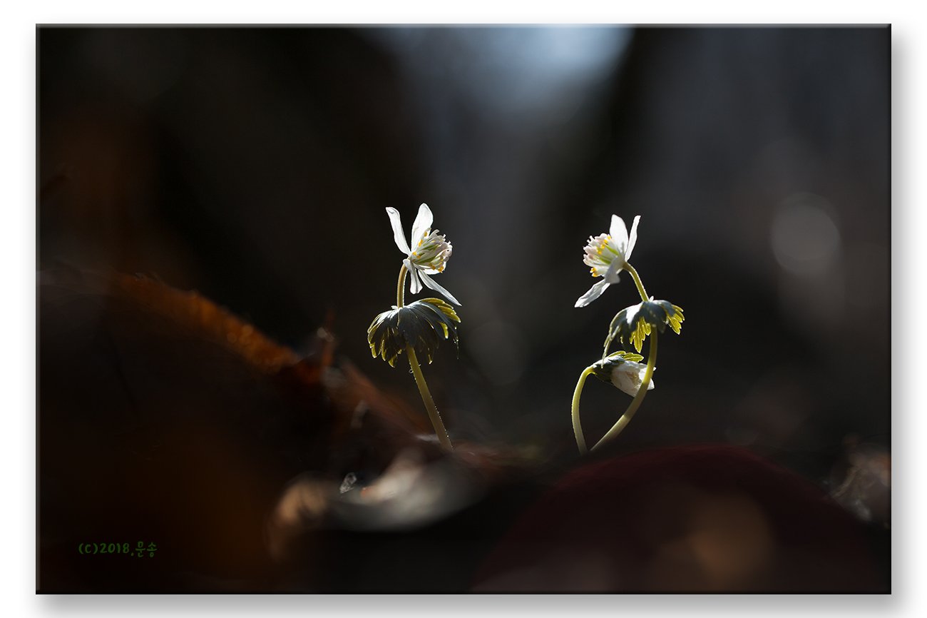 16.jpg : 따뜻한  날  정모에서  ....