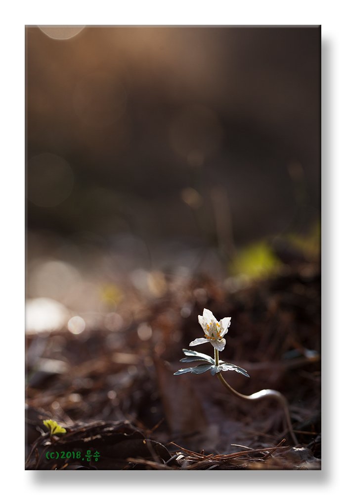 13.jpg : 따뜻한  날  정모에서  ....