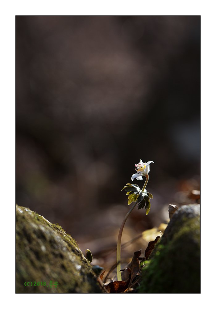 14.jpg : 따뜻한  날  정모에서  ....