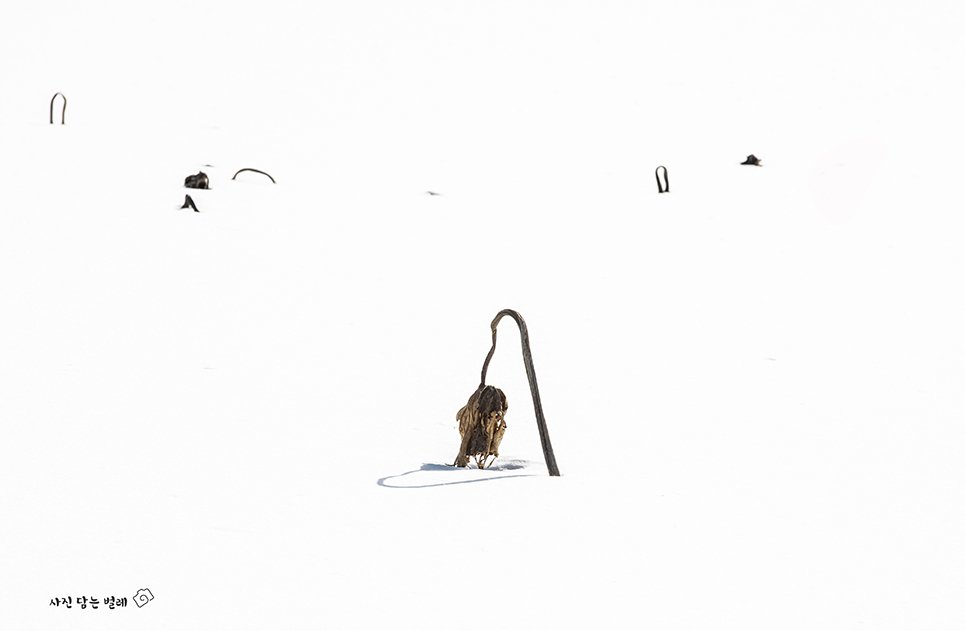 CE3A1215-1jpgresize.jpg : Lee BoTong 4