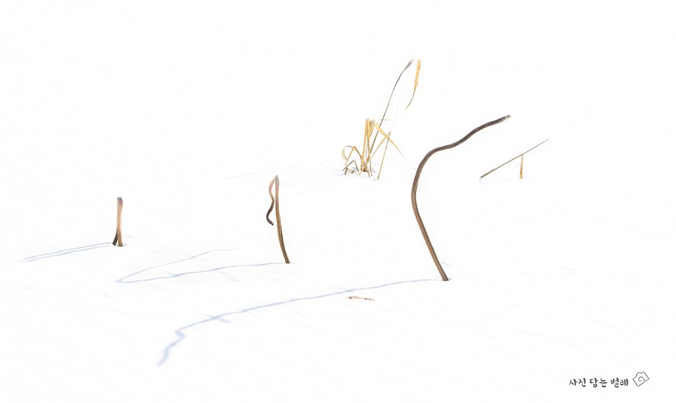 CE3A0662-2jpgresize.jpg : Lee BoTong 4