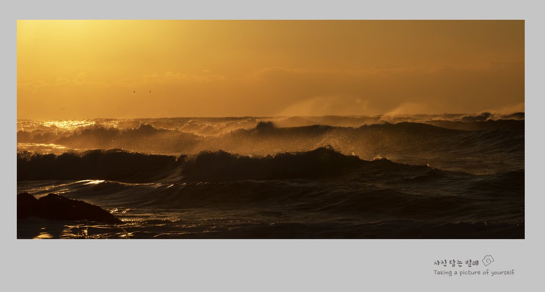 CE3A5125-1 resize.jpg : 동해바다