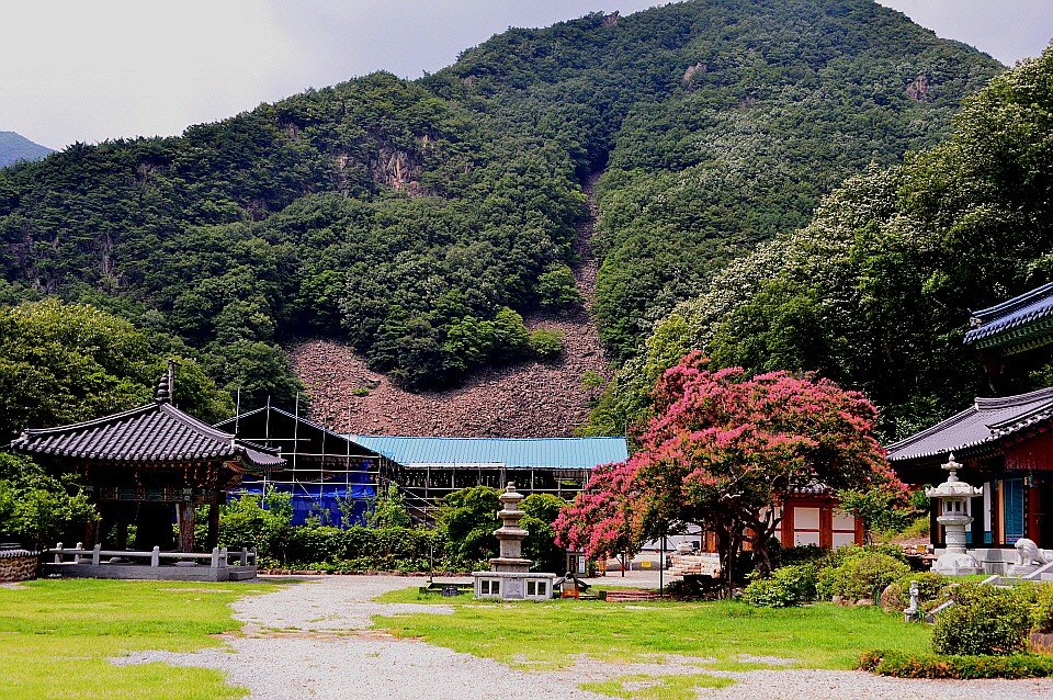 BandPhoto_14700417679.jpg : 영동 반야사