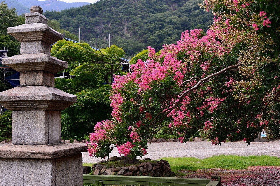 BandPhoto_14700417672.jpg : 영동 반야사