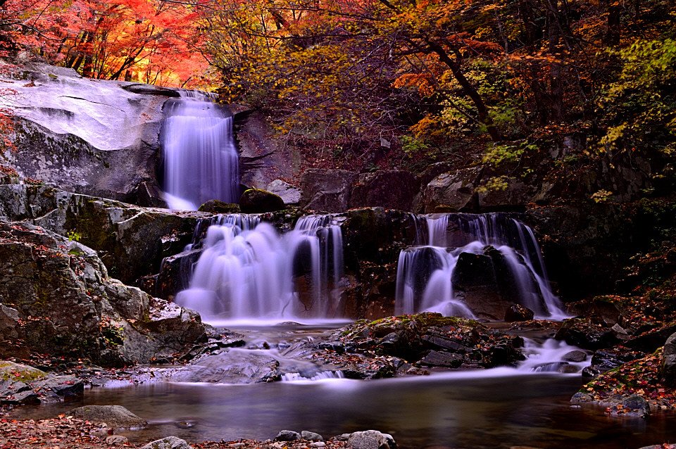 DSC_7942.JPG : 방태산의 가을