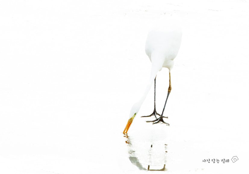 CE3A2275-2jpgresize.jpg : 겨울 이야기