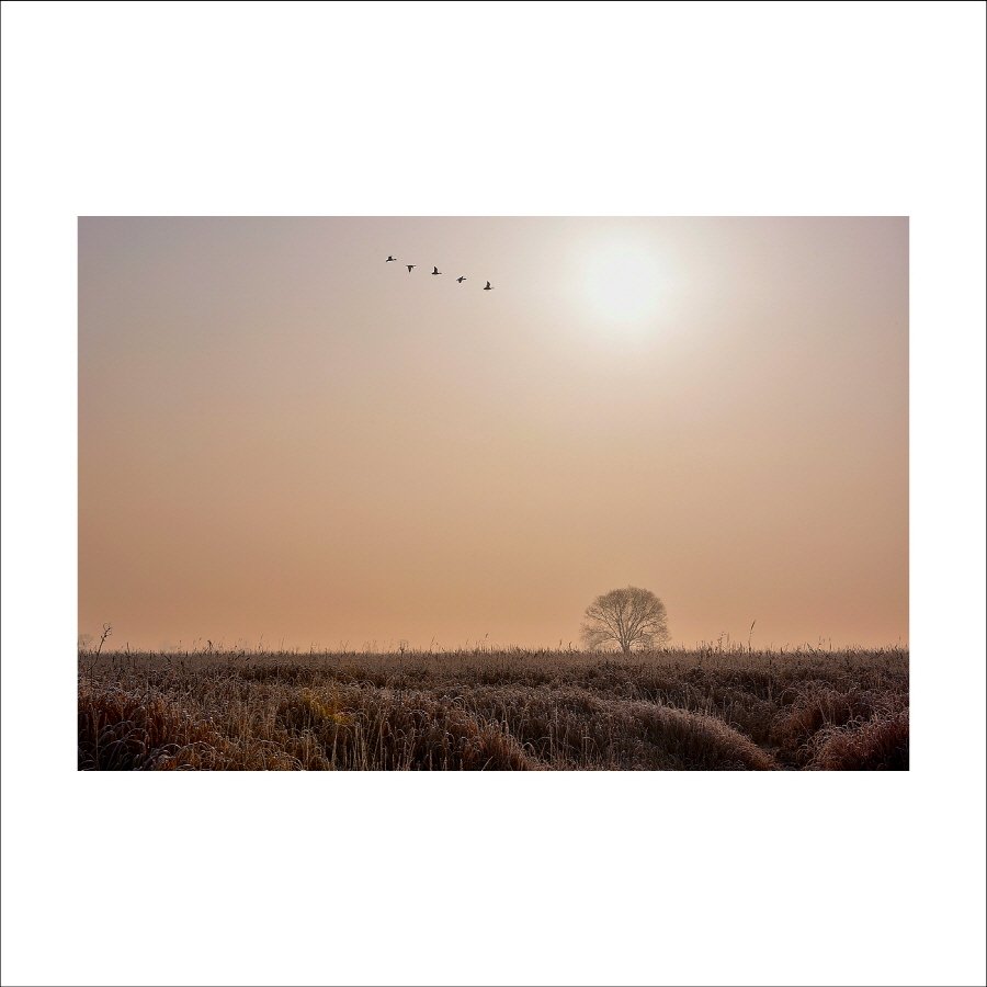 크기변환_DSC_5216.jpg : 우음도에서 크기변환_DSC_5216.jpg : 우음도에서