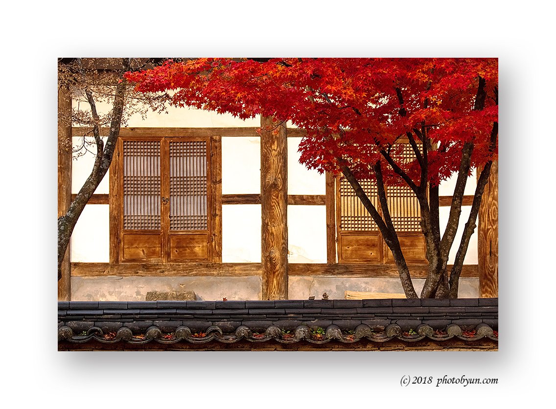 181A7462-편집.jpg : 산사의 가을 181A7462-편집.jpg : 산사의 가을