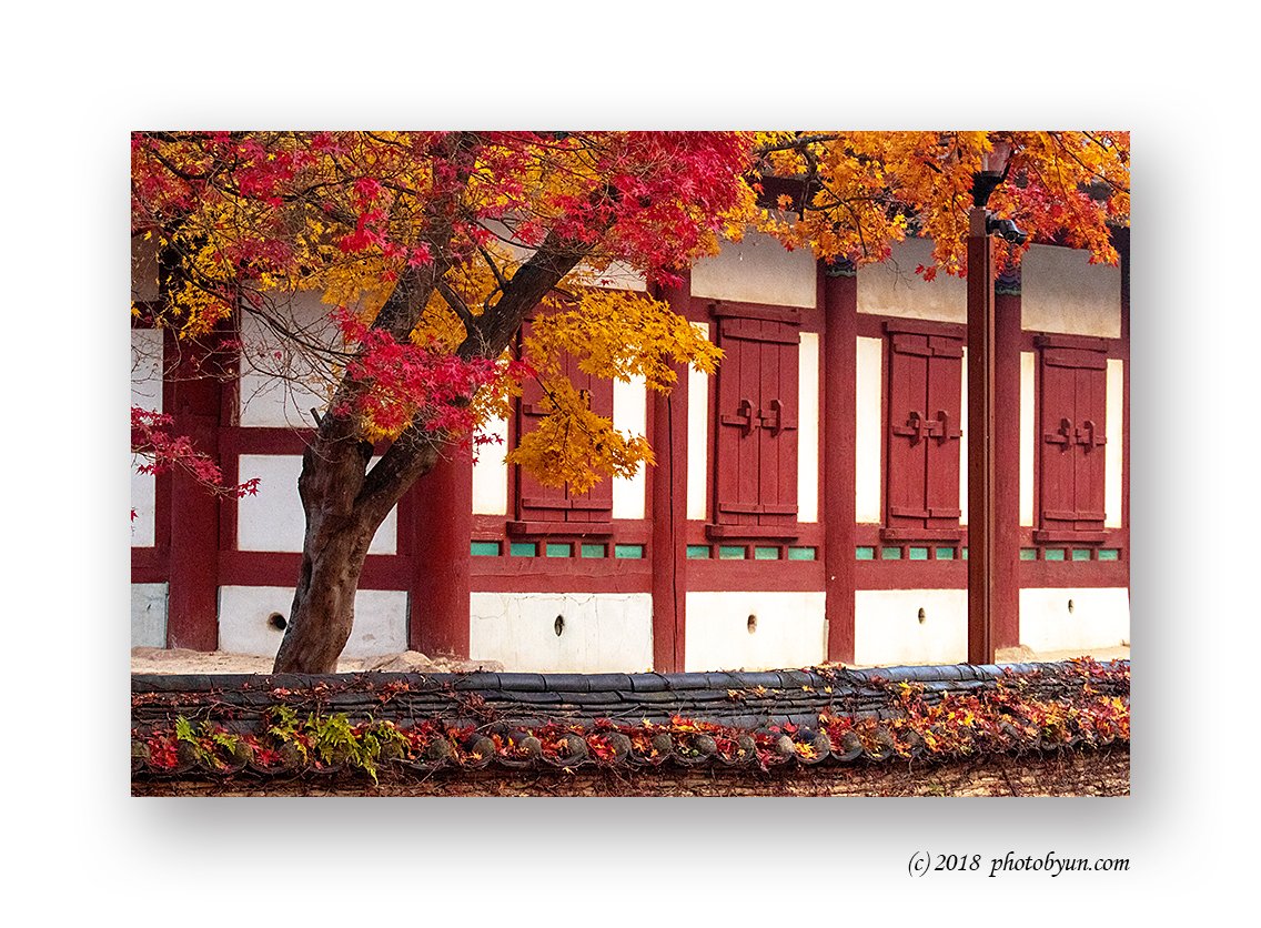 181A7327-편집.jpg : 산사의 가을 181A7327-편집.jpg : 산사의 가을