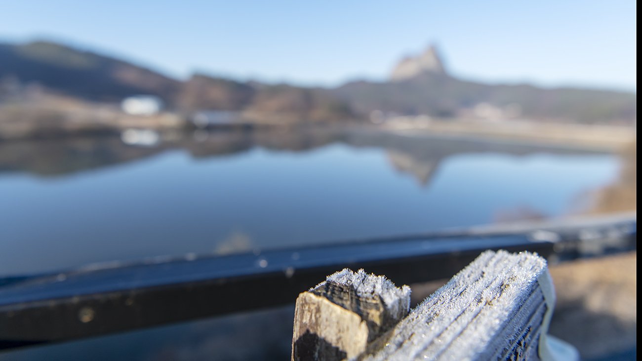 LMJ_5842.jpg : 가을이 가고 있네요.