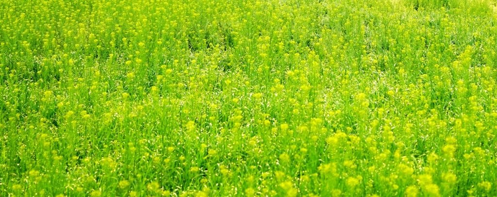 DSC09942.JPG : 나홀로  출사